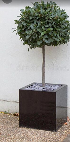 TRENDESK Vazo, Saksı