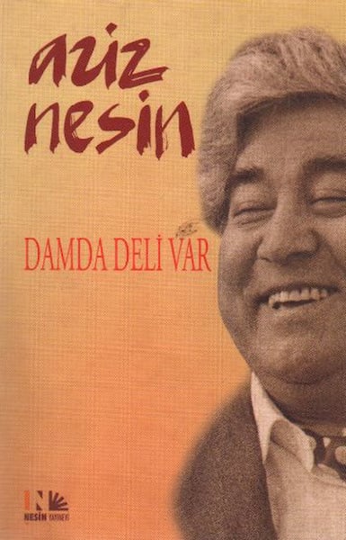 Nesin Yayınları Roman Kitapları