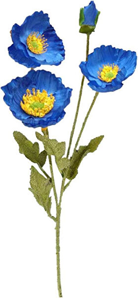 Nettenevime Yapay Çiçek, Meyve