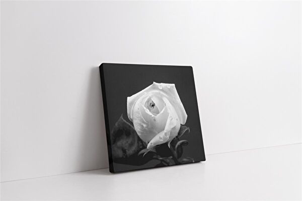 Tablosan Kanvas Tablo