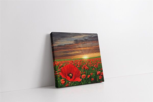 Tablosan Kanvas Tablo