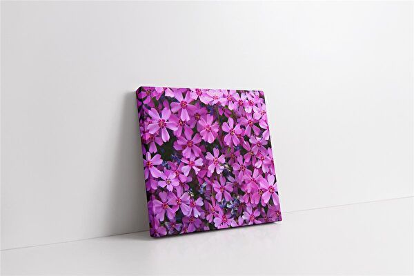 Tablosan Kanvas Tablo