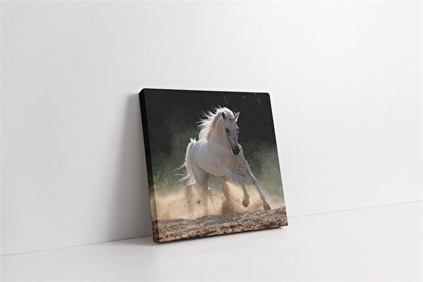 Tablosan Kanvas Tablo