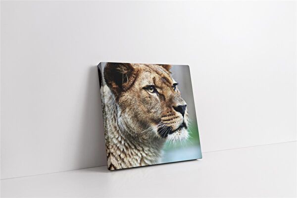 Tablosan Kanvas Tablo