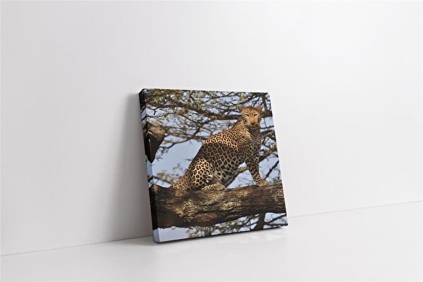 Tablosan Kanvas Tablo