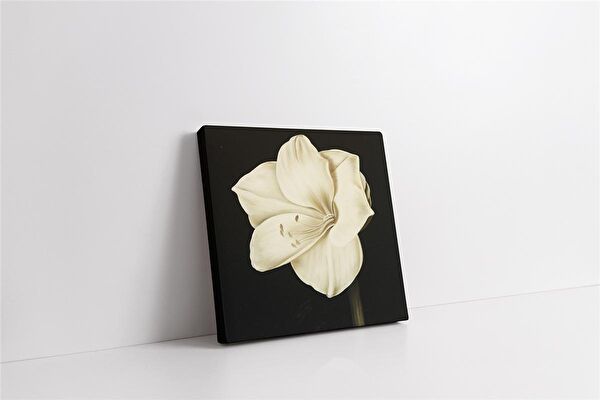 Tablosan Kanvas Tablo