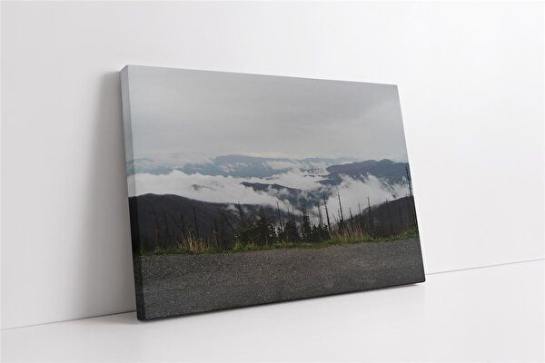 Tablosan Kanvas Tablo