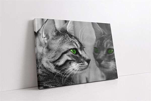 Tablosan Kanvas Tablo