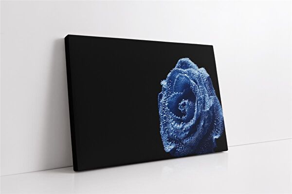 Tablosan Kanvas Tablo