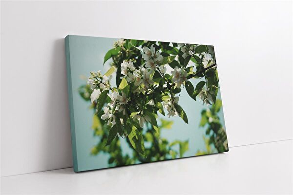 Tablosan Kanvas Tablo