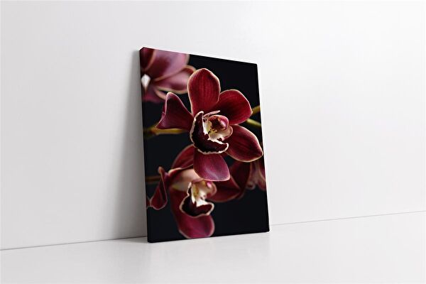 Tablosan Kanvas Tablo