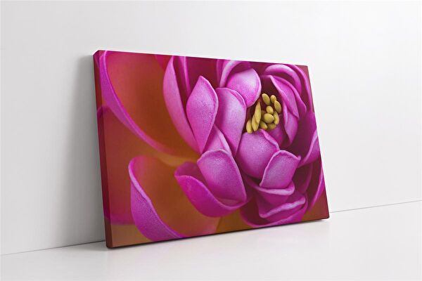 Tablosan Kanvas Tablo