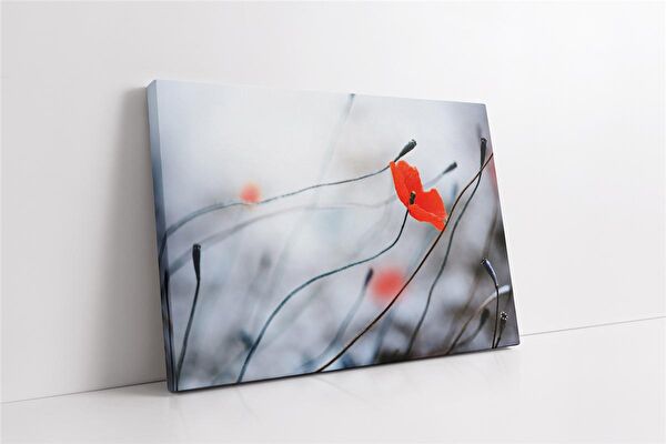 Tablosan Kanvas Tablo