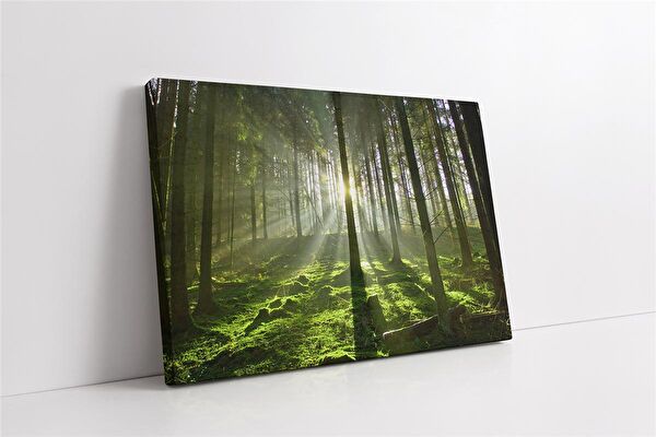 Tablosan Kanvas Tablo