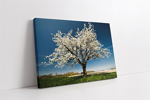 Tablosan Kanvas Tablo