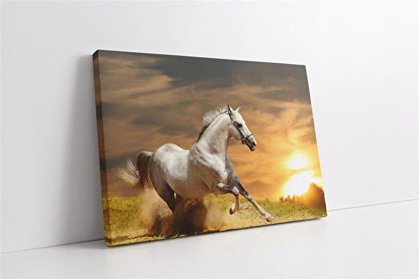 Tablosan Kanvas Tablo