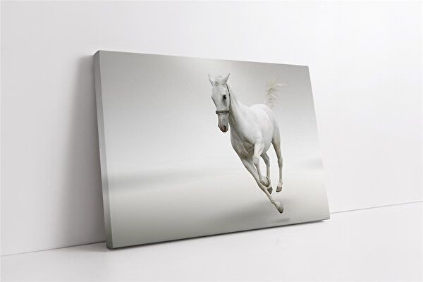 Tablosan Kanvas Tablo