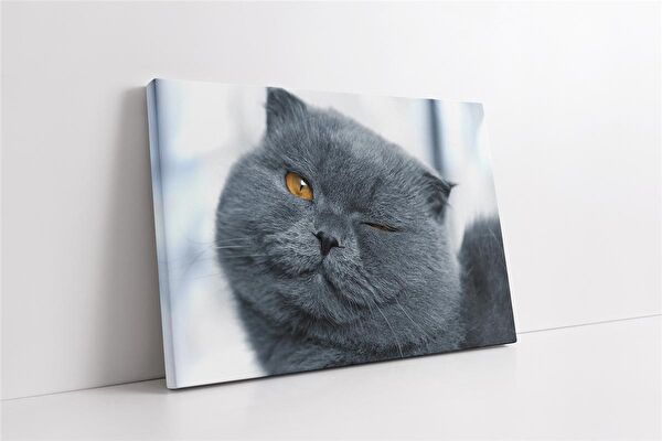 Tablosan Kanvas Tablo