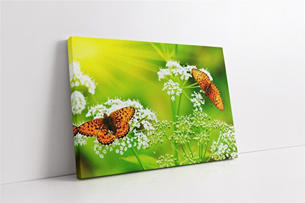 Tablosan Kanvas Tablo