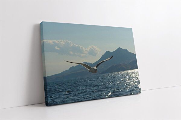 Tablosan Kanvas Tablo