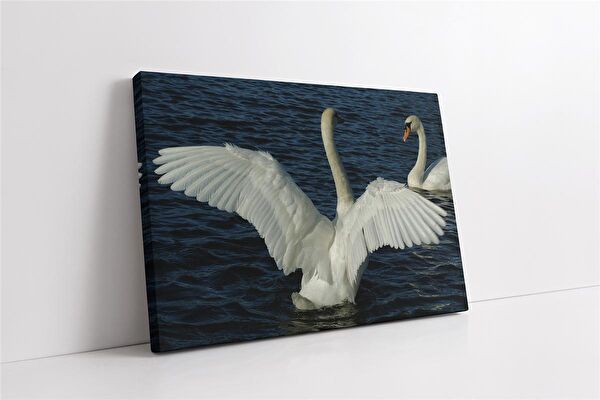 Tablosan Kanvas Tablo