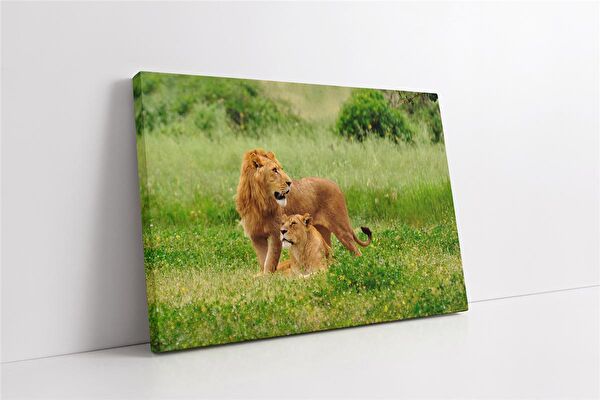 Tablosan Kanvas Tablo