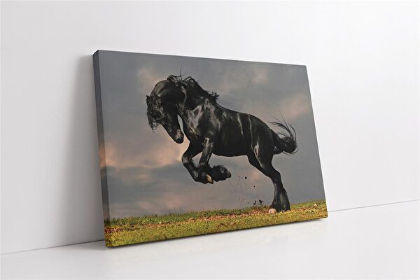 Tablosan Kanvas Tablo