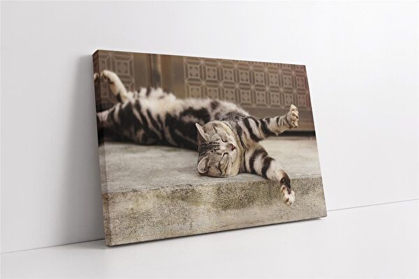 Tablosan Kanvas Tablo