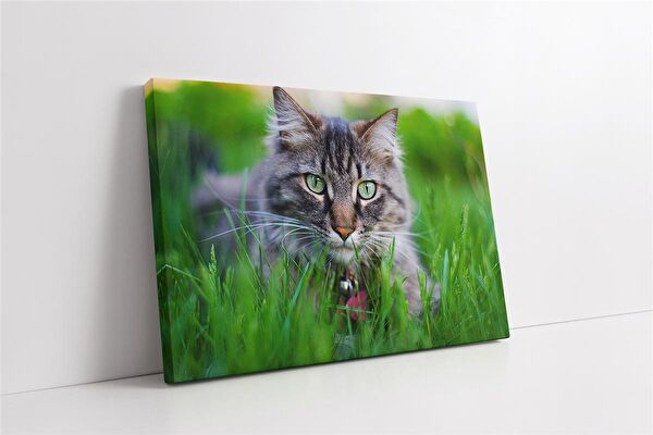 Tablosan Kanvas Tablo