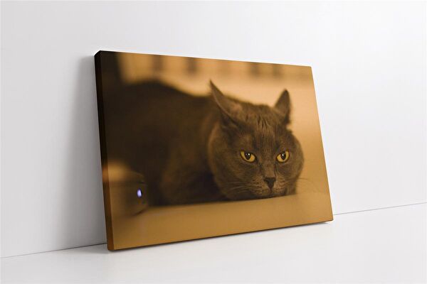 Tablosan Kanvas Tablo