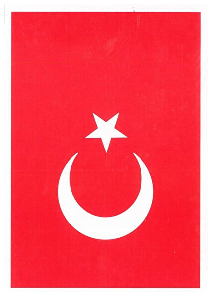 Vatan Dekoratif Sticker