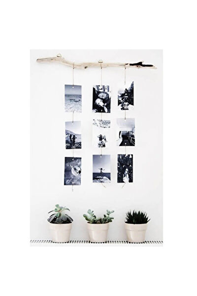 KÜTÜKhouse.com Fotoğraf Albümü