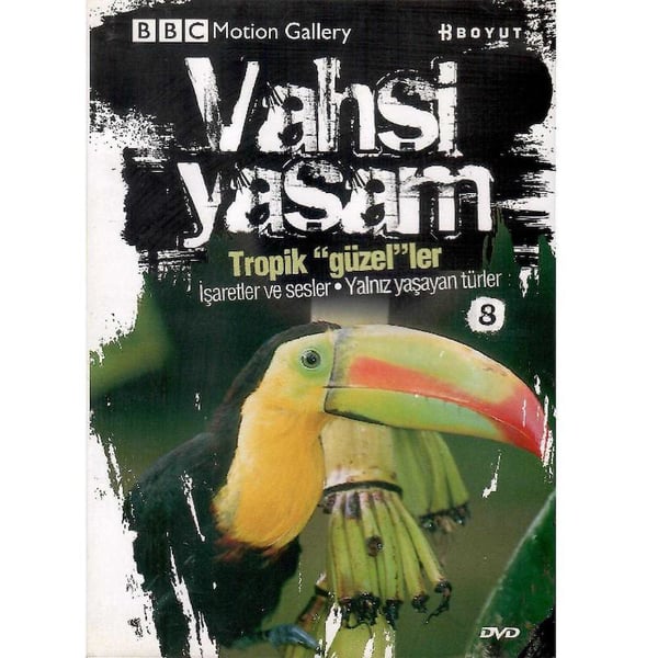Kişisel Yayınlar Yabancı Film
