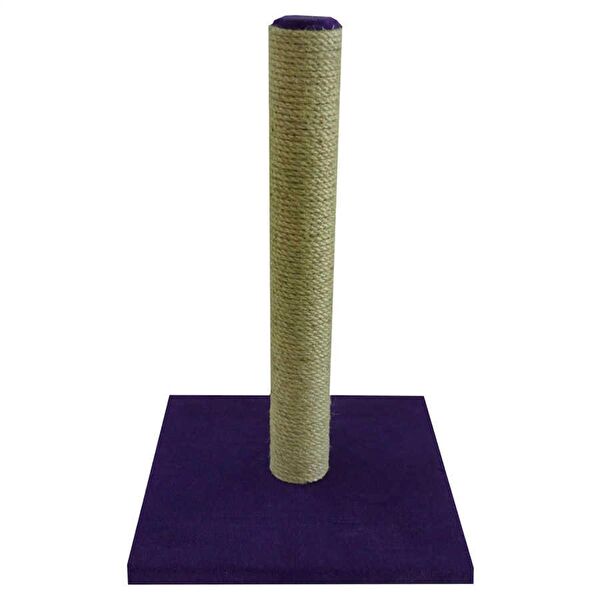 Bedspet Kedi Oyuncakları