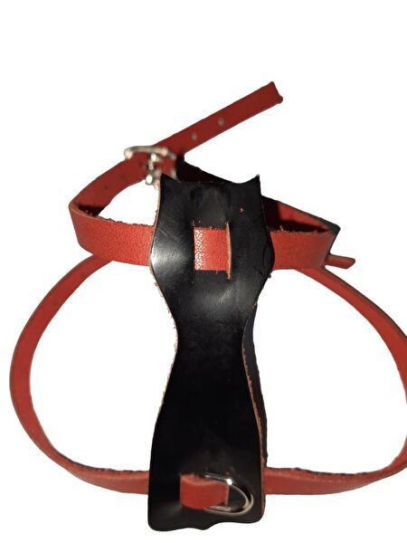 Lovely Köpek Tasmaları