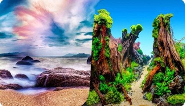 Has Akvaryum Dekoratif Malzemeler