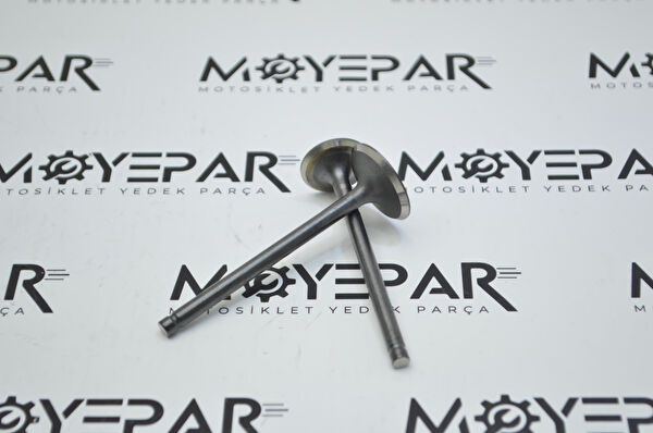 Msr Krank, Piston ve Contalar