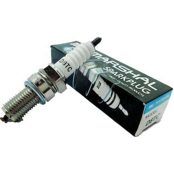MSR Krank, Piston ve Contalar