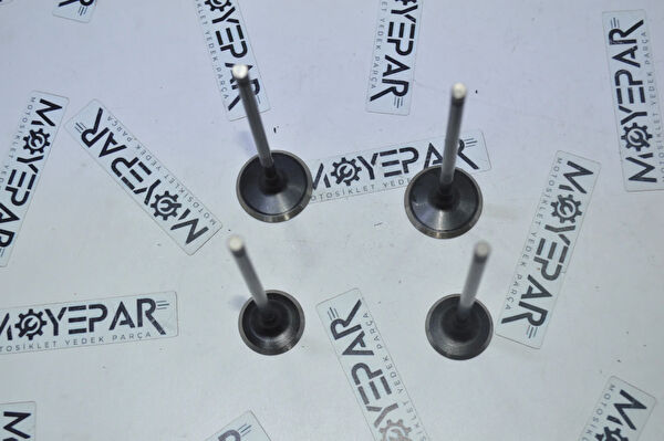 Bajaj Krank, Piston ve Contalar