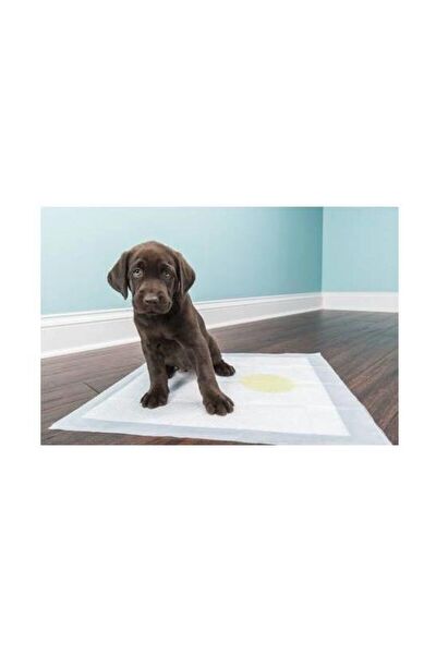 Markapet Köpek Sağlık & Bakım Malzemeleri