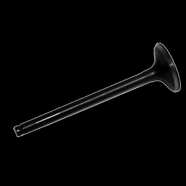 Bisan Krank, Piston ve Contalar