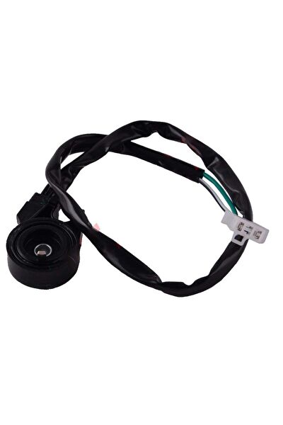 Bisan Krank, Piston ve Contalar