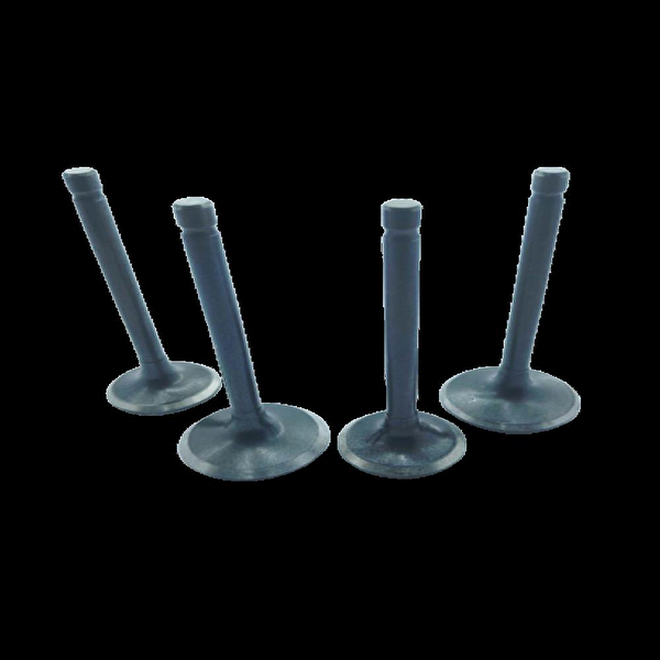 Bisan Krank, Piston ve Contalar