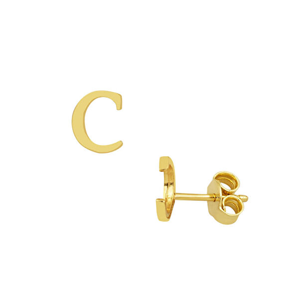 Bilezikci Altın Küpe