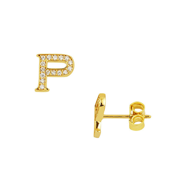 Bilezikci Altın Küpe