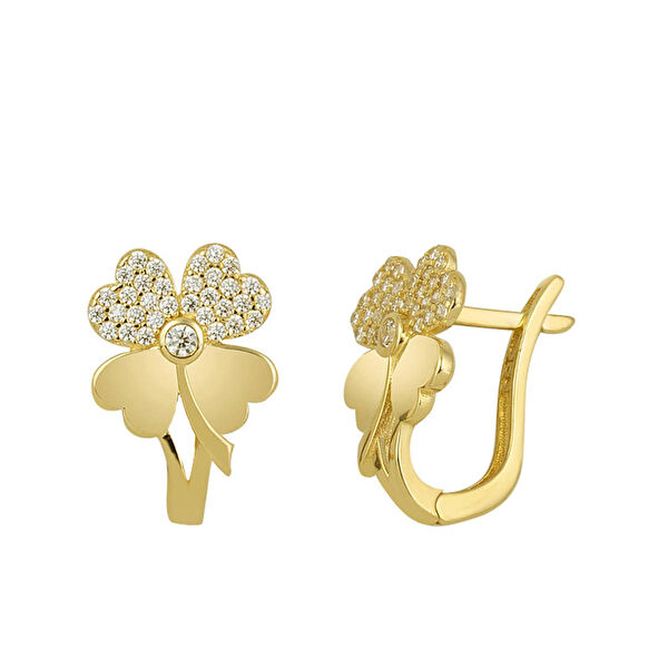 Bilezikci Altın Küpe