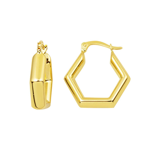 Bilezikci Altın Küpe