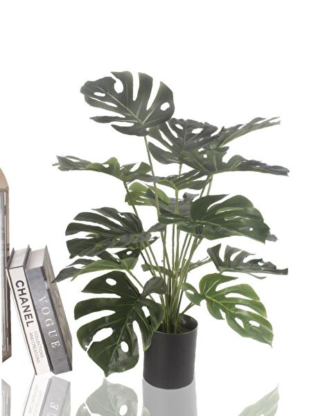 Nettenevime Yapay Çiçek, Meyve