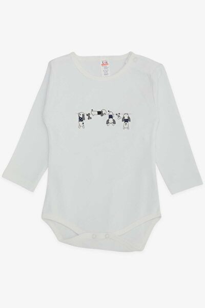 Breeze Body, Zıbın