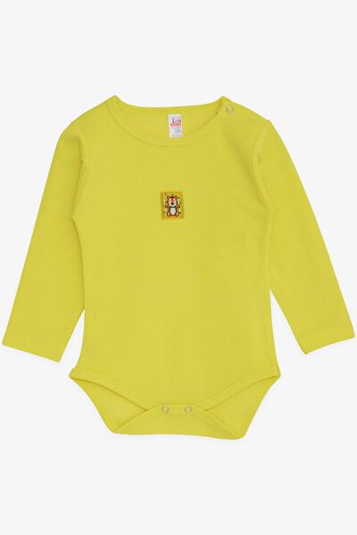 Breeze Body, Zıbın